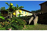 Family pension Certaldo Italy